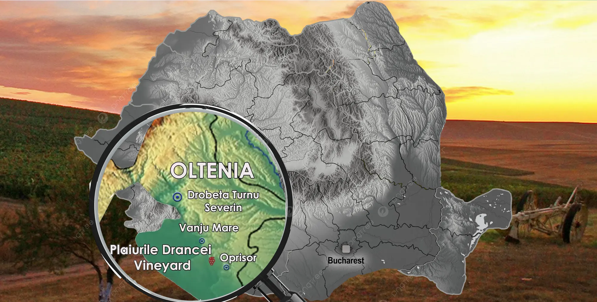 Plaiurile Drancei Weingut