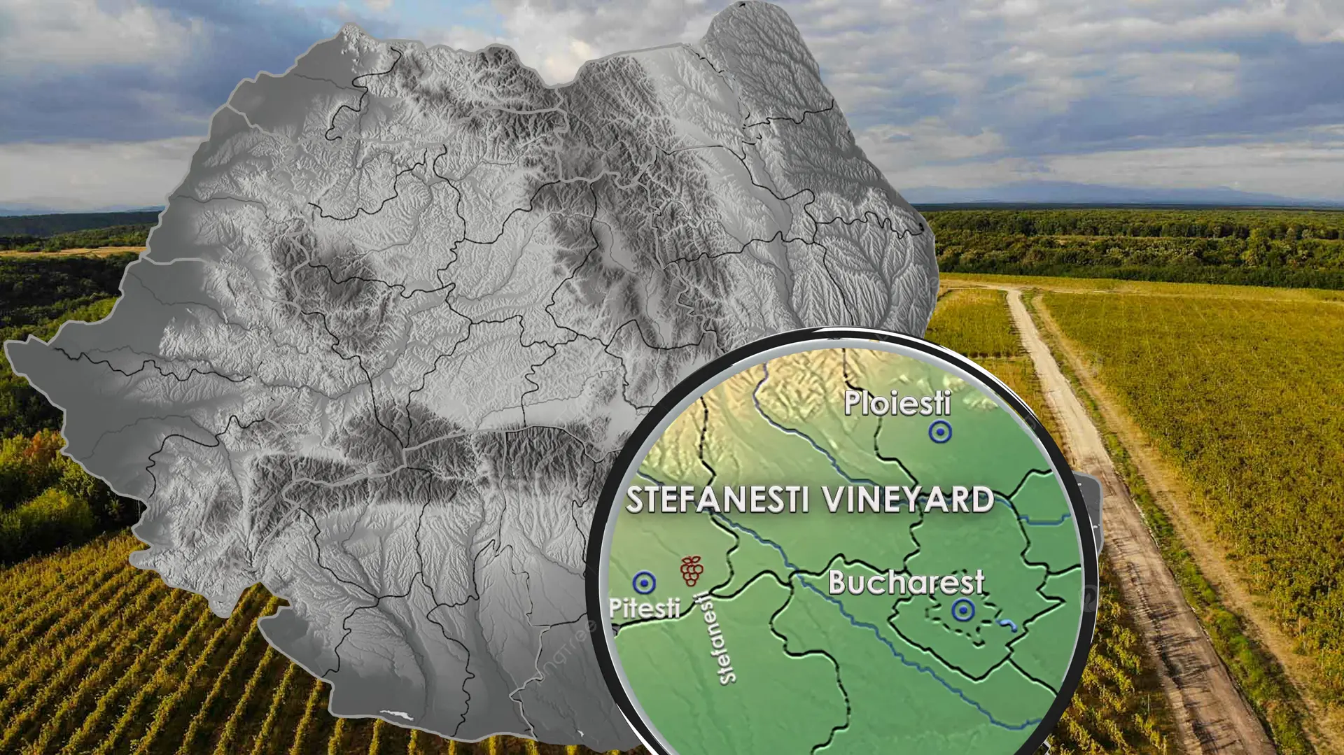 Stefanesti Weinberg Übersicht