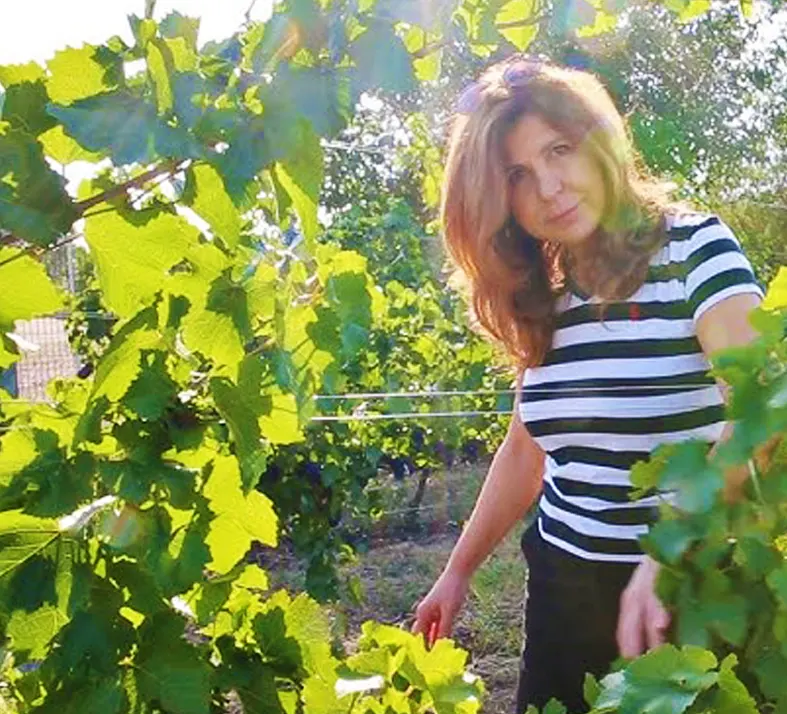 Domeniile Sahateni Weingut