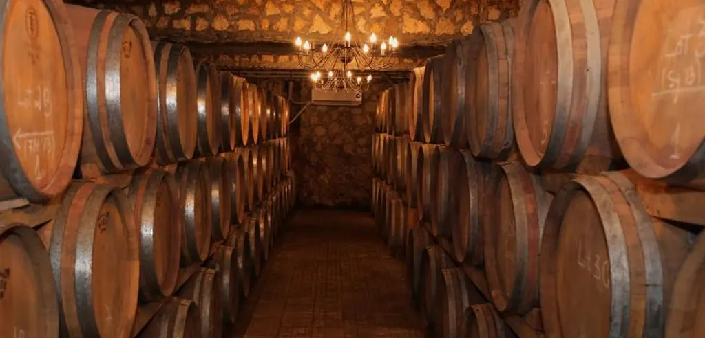 Aurelia Visinescu - Domeniile Sahateni Weingut