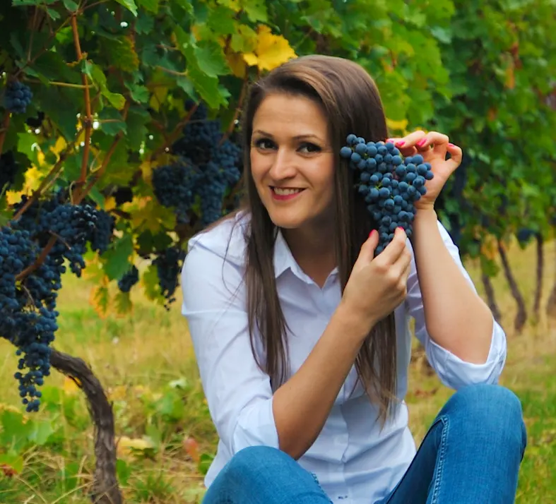 Romanian Wines - Girboiu Weingut