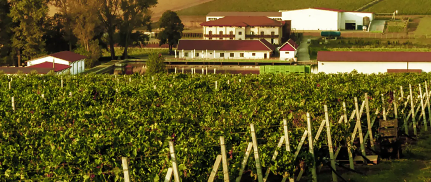 Weine aus Rumänien - Weintourismus - Hermeziu Weingut