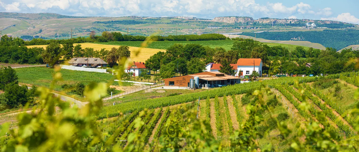 La Salina Weingut