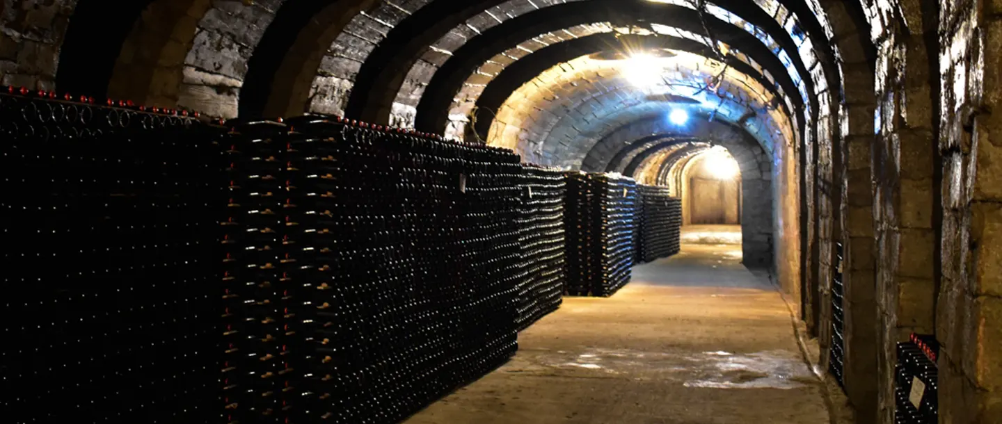 Podgoria Silvania Weingut