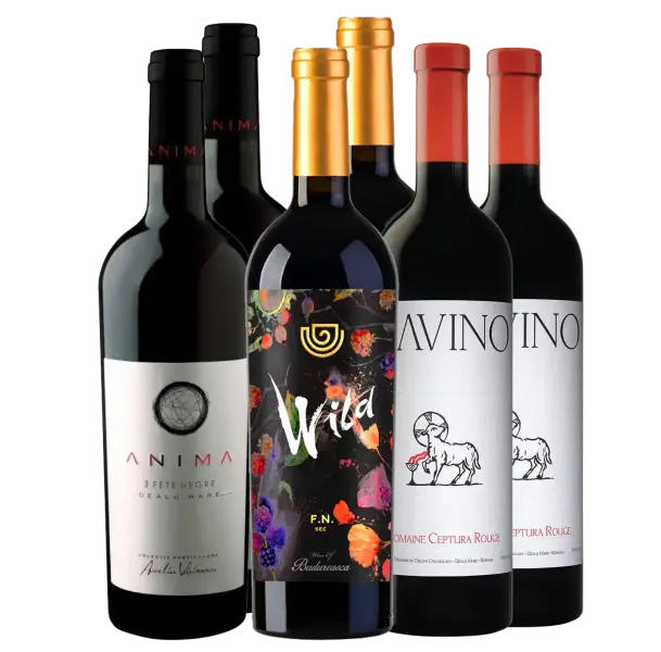 Product image 1 of the product “FETEASCA NEAGRA | Mixed Case ”