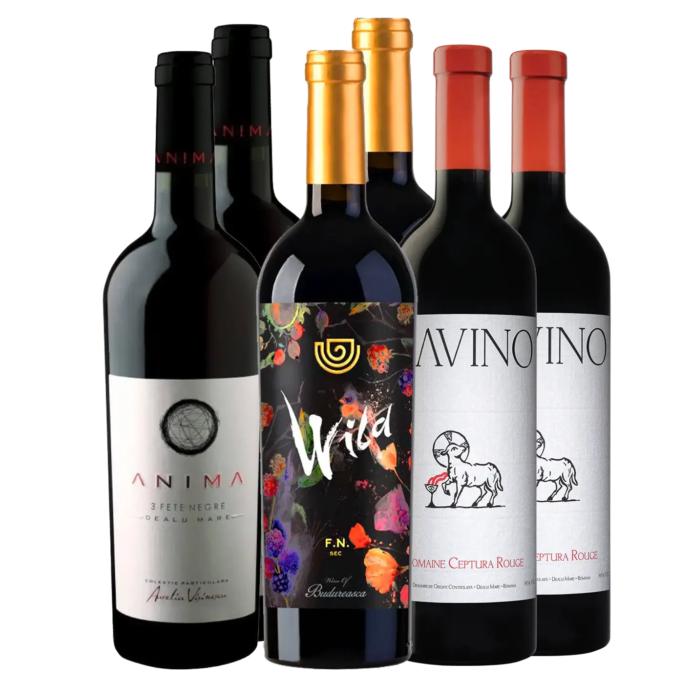 Artikelbild 1 des Artikels “FETEASCA NEAGRA | Gemischte Fälle “